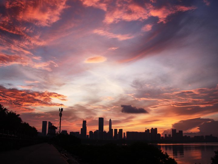 shenzhen bay for website